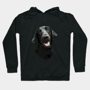 Flat Coated Retriever Hoodie